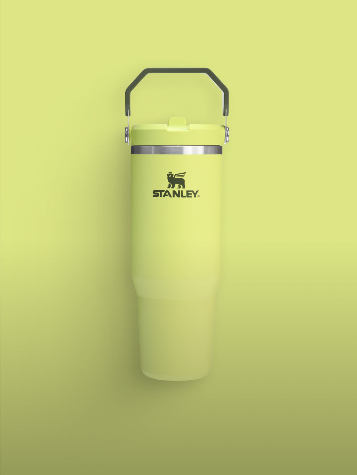 Stanley Summer IceFlow Tumbler