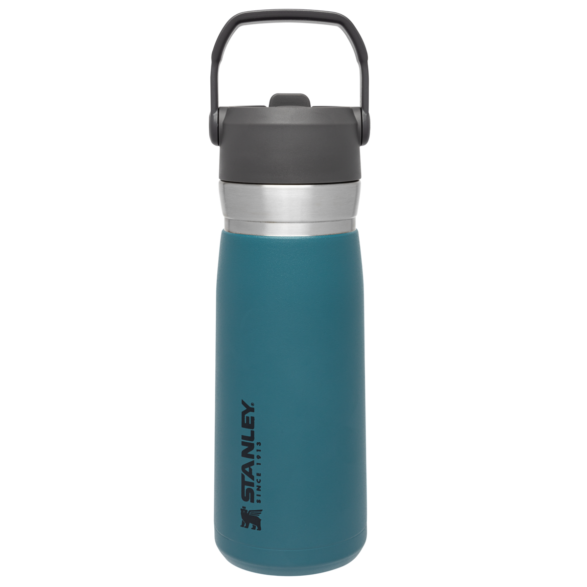 The Go Flip Straw Water Bottle | 22 OZ