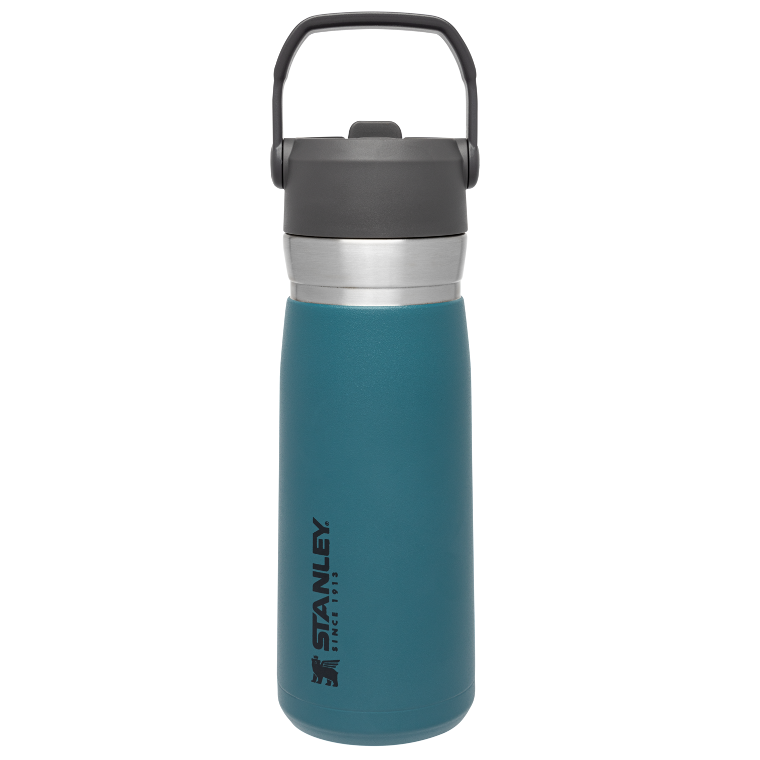 The Go Flip Straw Water Bottle | 22 OZ