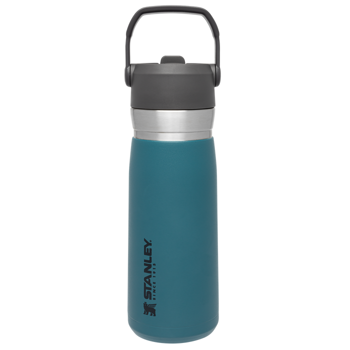 The Go Flip Straw Water Bottle | 22 OZ