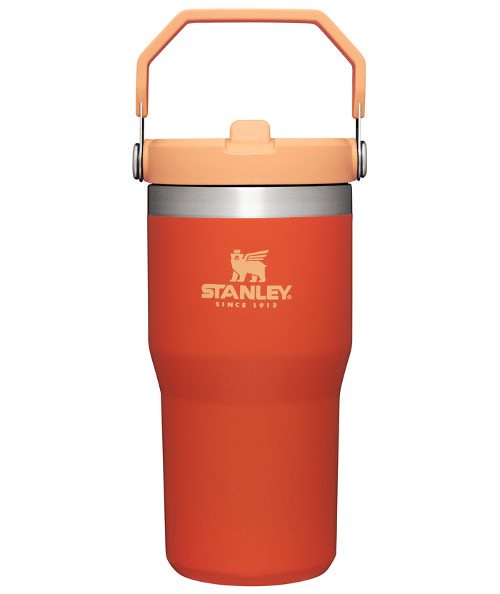 The IceFlow Flip Straw Tumbler | 20 OZ - Stanley Create