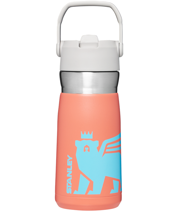 The Wild Imagination IceFlow™ Flip Straw Water Bottle | 17 OZ