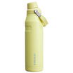 IceFlow™ Bottle with Fast Flow Lid | 36 OZ