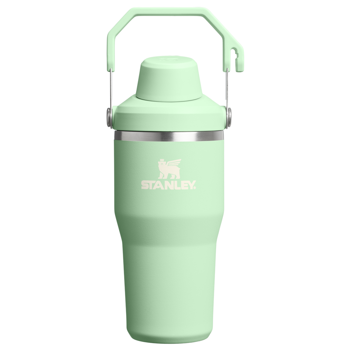 Stanley 1913 Test - Color Story Search Ignore The IceFlow™ Tumbler with Fast Flow Lid 20 OZ (Vault2) in Pistachio | Front View