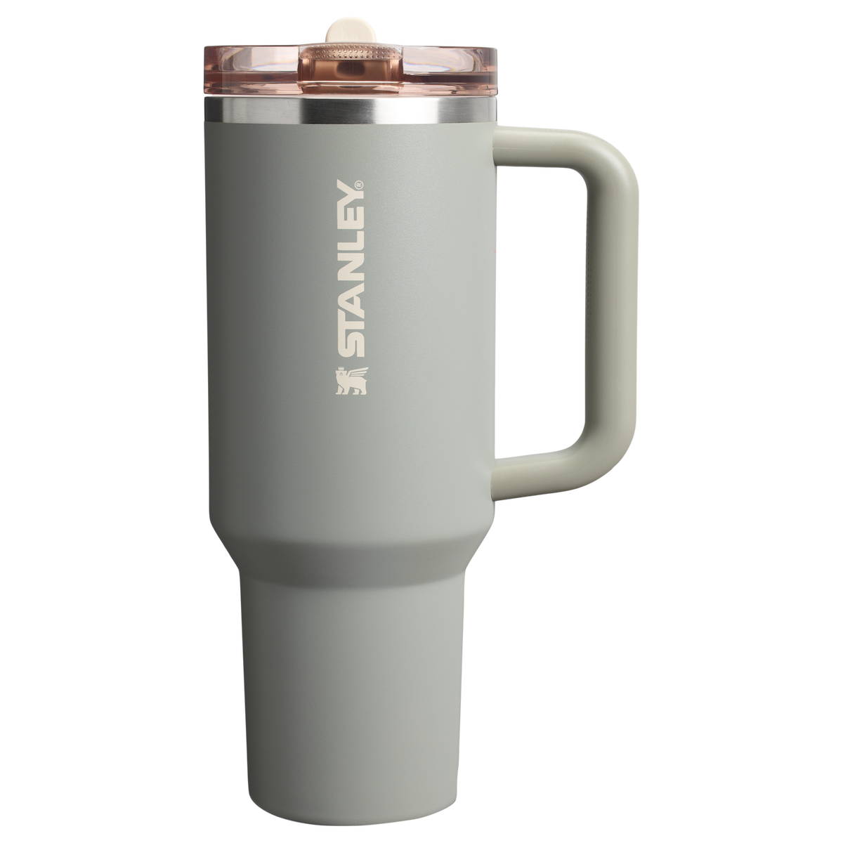 Stanley 1913 The Quencher ProTour Flip Straw Tumbler 40 OZ dans Sage Grey | Recto Afficher