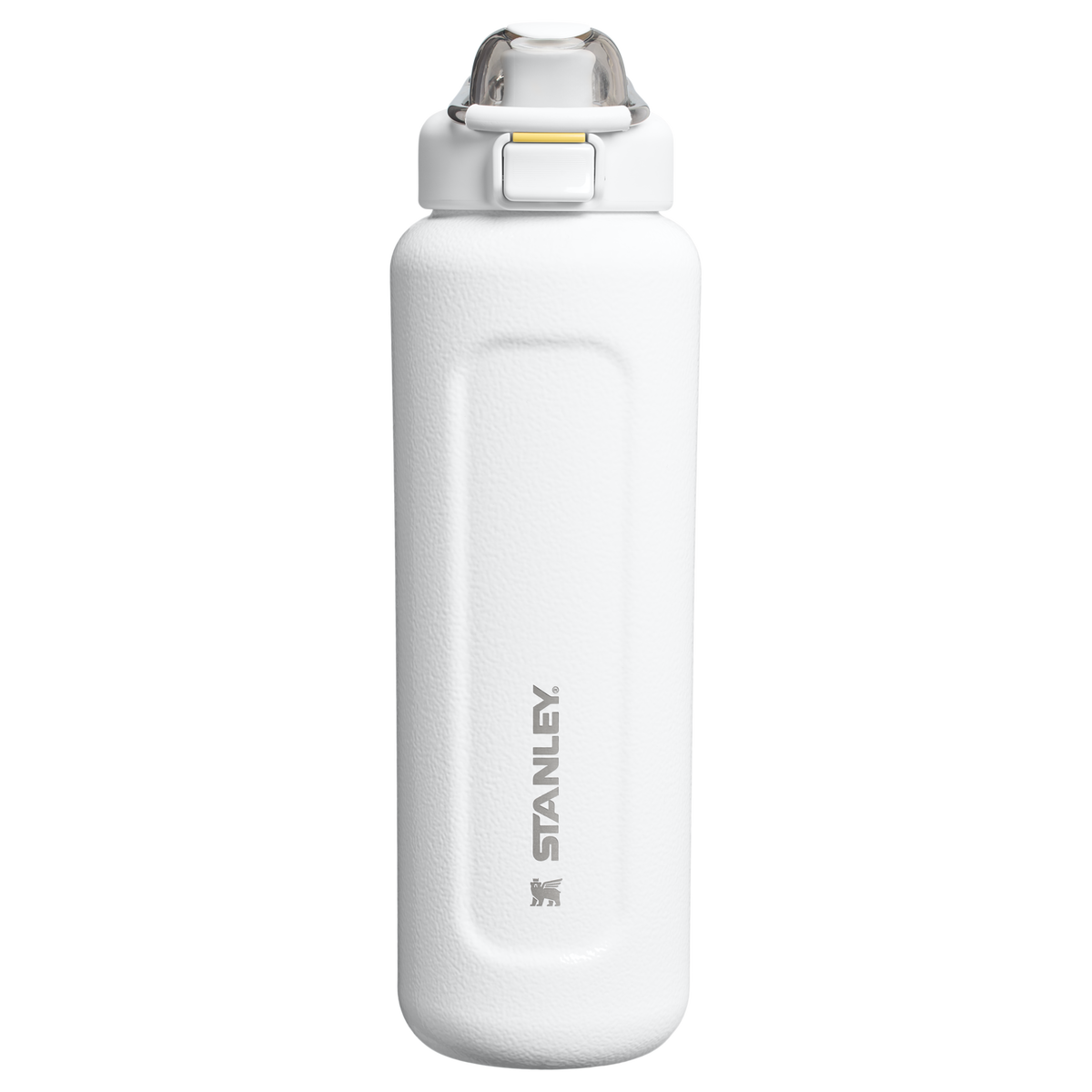 Stanley 1913 The Wellspring Bottle 32 OZ dans Hammertone Frost | Recto Afficher
